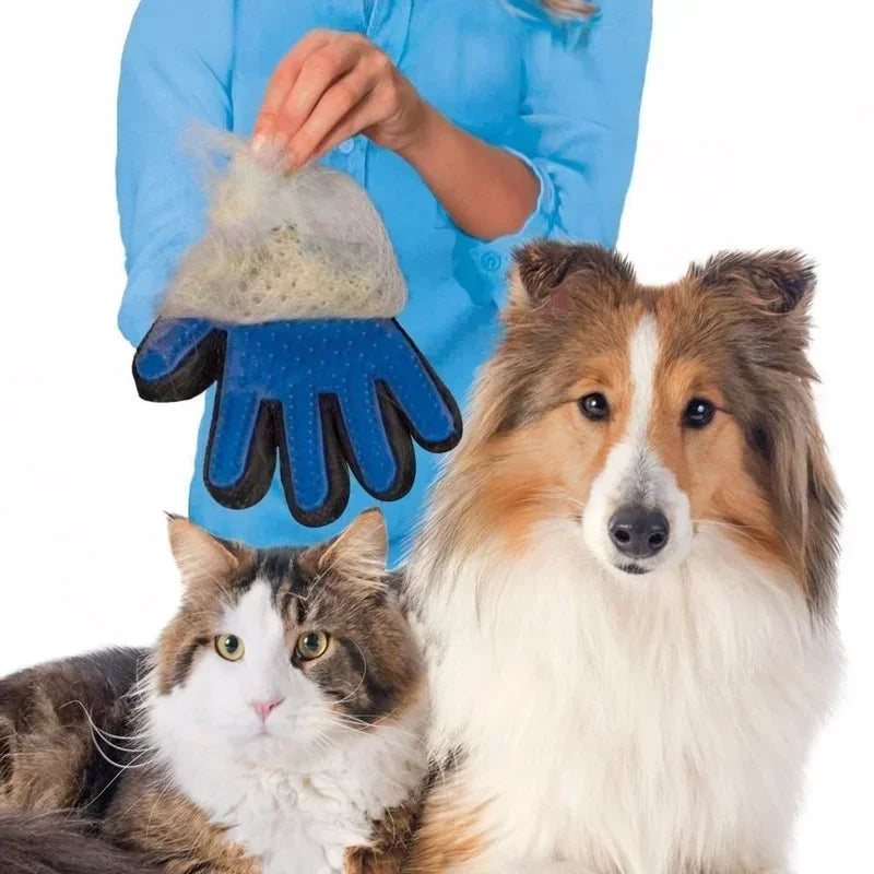 Gant de toilettage pour chats et chiens, gant brosse anti-poils et anti-mue pour nettoyage et massage des animaux de compagnie
