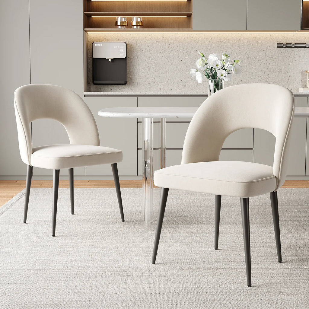 Chaises de salle à manger (lot de 2) modernes et simples pour la maison, chaises et table à manger, tabouret de relaxation, chaises à dossier pour hôtel et restaurant, meubles